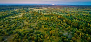 Чернобыльский заповедник получил новый статус