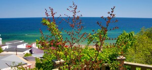 Липнева спека: яка погода буде в Одесі наступного тижня