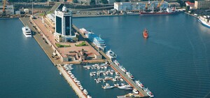 Турция отпустила судно с краденным зерном из оккупированного Бердянска