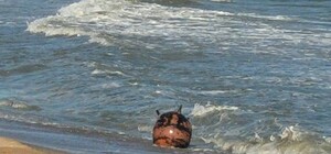 На Одещині знайшли ворожу міну: мешканці області можуть чути вибух