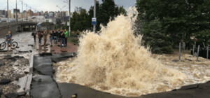 У Києві біля метро 