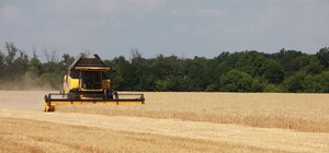 Старух рассказал, хватит ли хлеба жителям Запорожской области в этом году