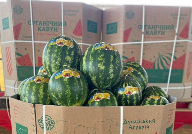 В Одессе начали продавать арбузы: цены. 