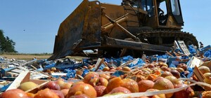 На Запоріжжі люди спалюють урожай, щоб не віддавати окупантам