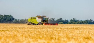 На Дніпропетровщині російський танк обстріляв комбайни, які збирали урожай 