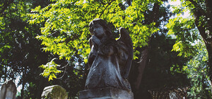 В Киеве торговали местами под могилы на закрытых и полузакрытых кладбищах