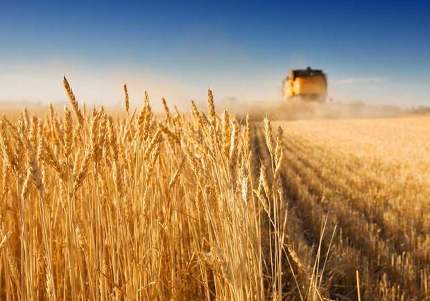 Удар по Одеському порту: ціни на пшеницю різко зросли, а США готують "План-Б". 