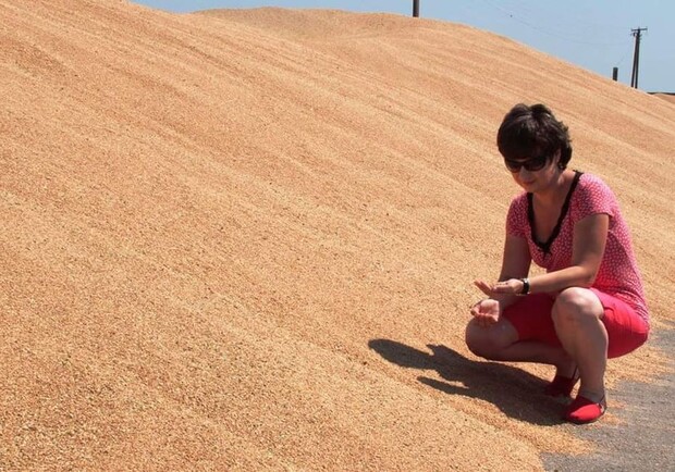 Голод не загрожує: на Одещині закінчився збирання ранніх зернових. 