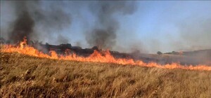 Під Запоріжжям російські ракети знищили понад 70 гектарів пшениці