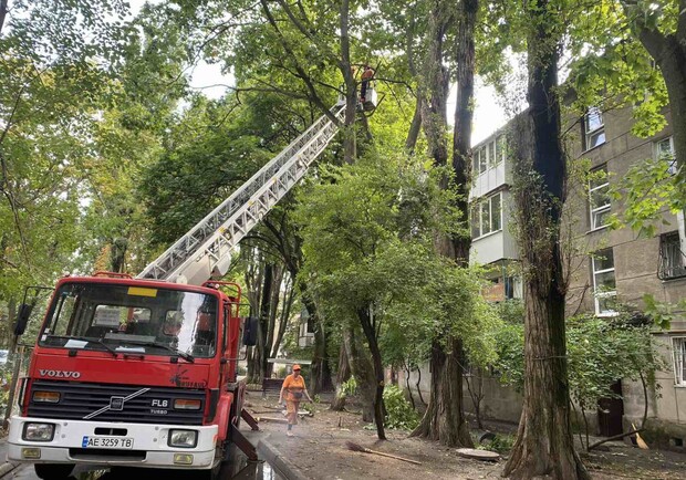 Из-за последствия ночной непогоды в Одессе упали деревья, а в области пропал свет. 