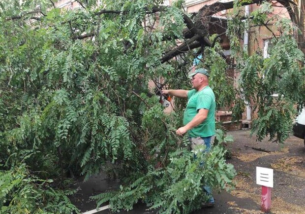 Наслідки негоди в Одесі: у місті впали 10 дерев та 18 гілок. 