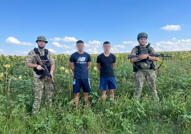 Прятались в подсолнухах: в Одесской области трое уклонистов пытались пересечь границу. 
