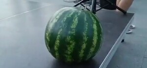 За дві тисячі гривень: в Одеській області на аукціоні продали херсонський кавун (відео)