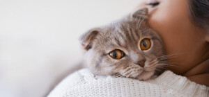 Где в Киеве бесплатно вакцинировать и стерилизовать домашних животных