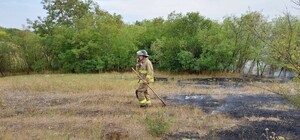 В Одесской области предупреждают о высокой пожарной опасности