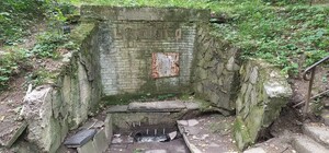 Який вигляд має безкоштовне джерело Нафтусі у Львівській області — відео