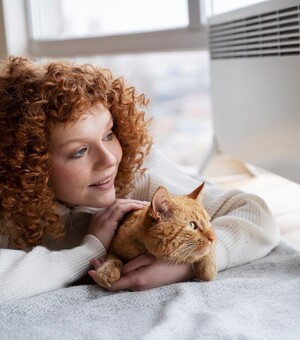 Какой обогреватель выбрать, чтобы пережить сложную зиму: преимущества, недостатки и цены