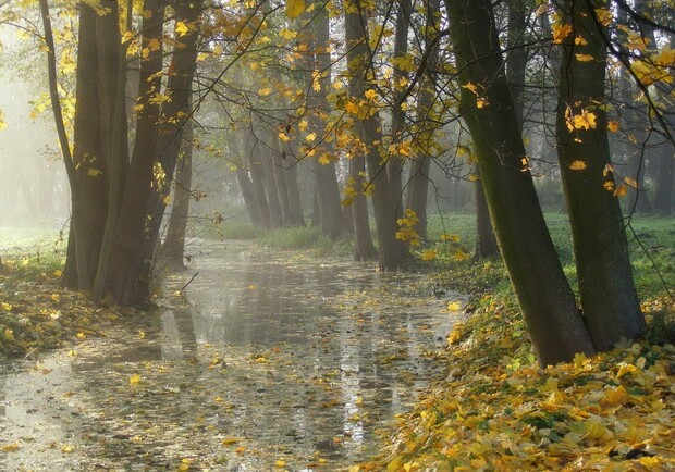 Дождливый сентябрь: какая погода будет в Одессе на следующей неделе. 
