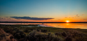 Альтернатива морю: как выглядит одесский Куяльник в сентябре