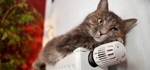 Когда в Киеве включат отопление