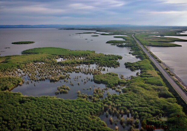 На грани экологической катастрофы: в Одесской области пересыхают придунайские озера. 