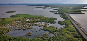 На грани экологической катастрофы: в Одесской области пересыхают придунайские озера