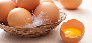 В магазинах Украины подорожали яйца: с чем это связано и будет ли дефицит