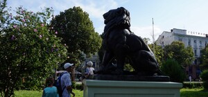 В одесском Горсаду прячут скульптуры львов