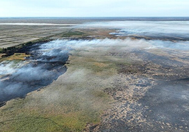 Дунайский биосферный заповедник в Одесской области продолжает гореть. 