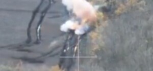 Днепровские десантники показали, как уничтожили пехоту и БМП врага (видео)