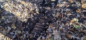 В Одесской области уничтожили более 150-ти снарядов, которые нашел пес (видео)