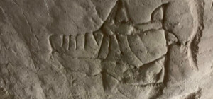 На Подоле была обнаружена древняя пещера