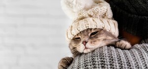 В Днепре на этой неделе прогнозируют снег и мороз