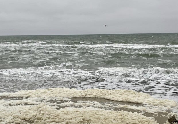 Морское капучино: одесское побережье укрыла удивительная пена. 