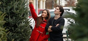 Где в Запорожье продают новогодние елки и в какую цену (адрес)