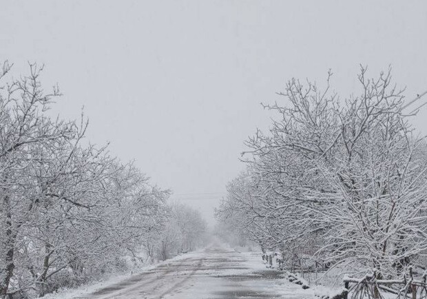 На дорогах на Одещині снігова казка: обстановка на дорогах - фото