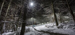 В Голосеевском лесу начался сезон катания на лыжах и сноубордах: цены