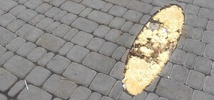 Зі Старосінної площі зникла скульптура дельфіна: що трапилося