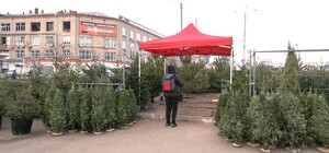 В Харькове работает тридцать три елочных рынка 