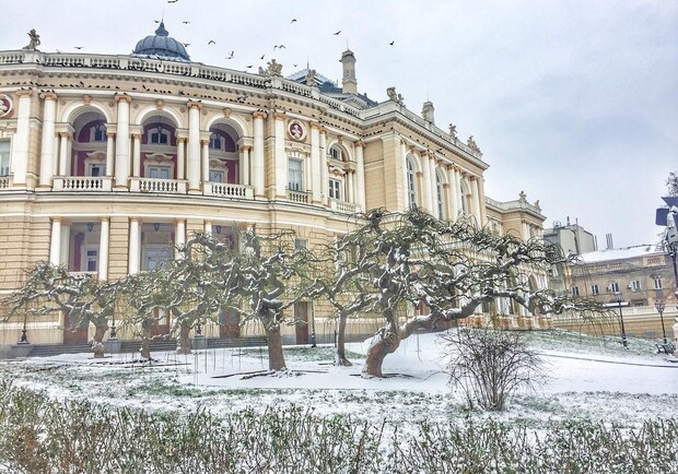 Последние декабрьские дни: какая погода будет в Одессе на следующей неделе. 