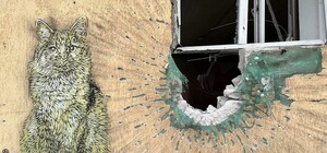 Парижский художник C215 создал несколько граффити в Киеве и области (фото)