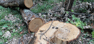 В Харьковской области прокуроры через суд требуют взыскать с 