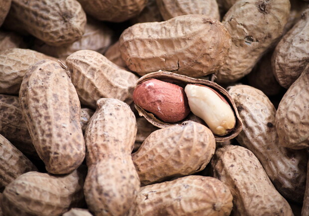 Вызывает рак и цирроз: в Одесскую область завезли арахис с превышенным содержанием опасного вещества. 
