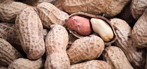 Вызывает рак и цирроз: в Одесскую область завезли арахис с превышенным содержанием опасного вещества