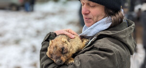 Харьковский сурок Тимка предсказал, когда ждать весны