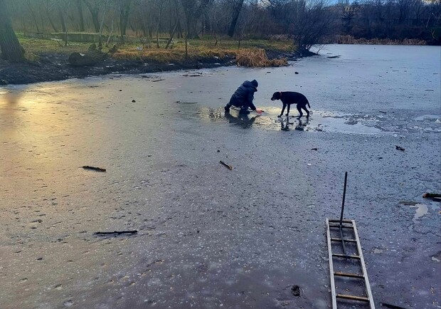 На одесском пруду пенсионер провалился под лед: он пытался спасти собаку. 