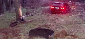 Уровень алкоголя в крови превышал норму в 11 раз: в Запорожье водитель BMW совершил ДТП