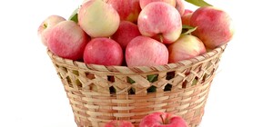 Где на этих выходных в Киеве пройдут продуктовые ярмарки. Адреса