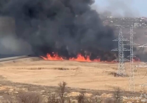 В Одесской области снова тушат два пожара в экосистемах (видео) - фото