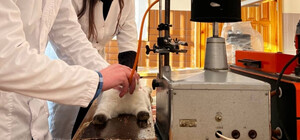 Скандал із знущаннями над тваринами в одному із вишів Києва: справою зацікавилася поліція